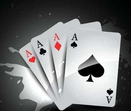 Poker.net以75万美金交易，成有史以来最大的.net销售！