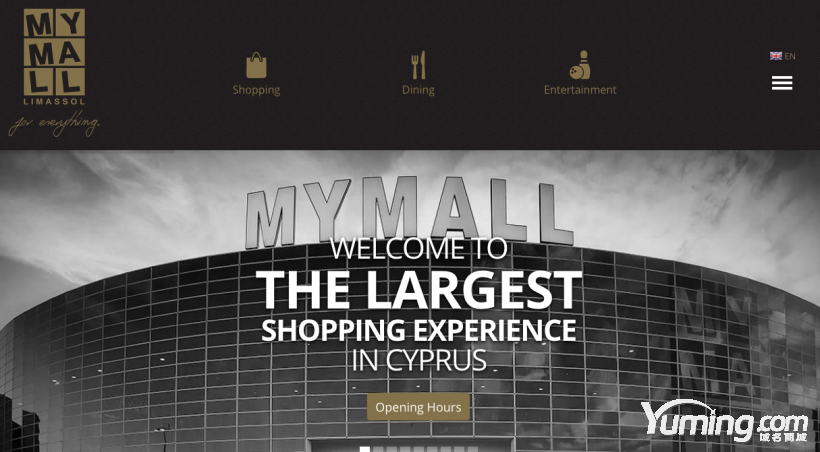 消费类域名MyMall.com被拍卖 俄互联网巨头恐错失