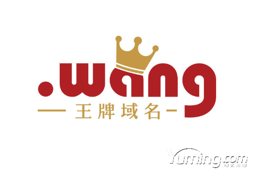 位居全球性通用顶级域名排行第五的.wang魅力何在?