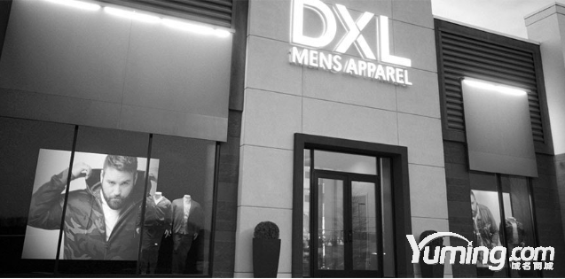 服饰终端783万高价收购品牌三声母域名DXL.com