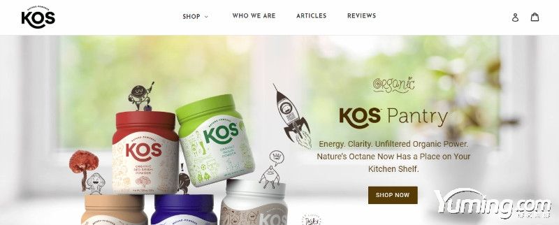 终端升级品牌收购三字母域名KOS.com