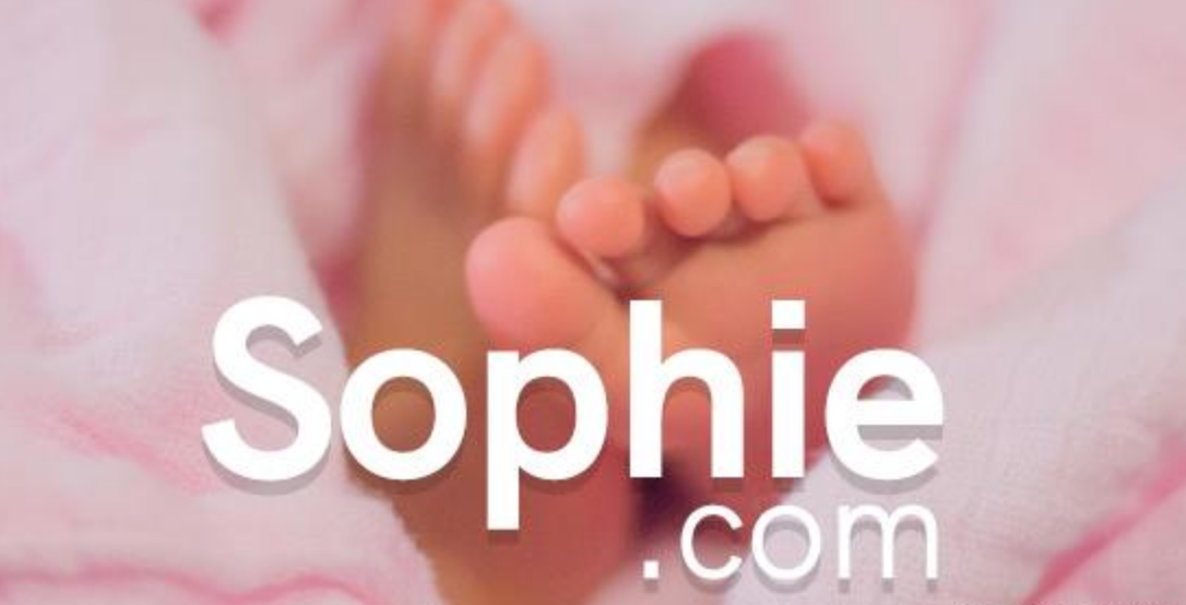 充满父爱的域名Sophie.com，两位域名投资人之间的交易