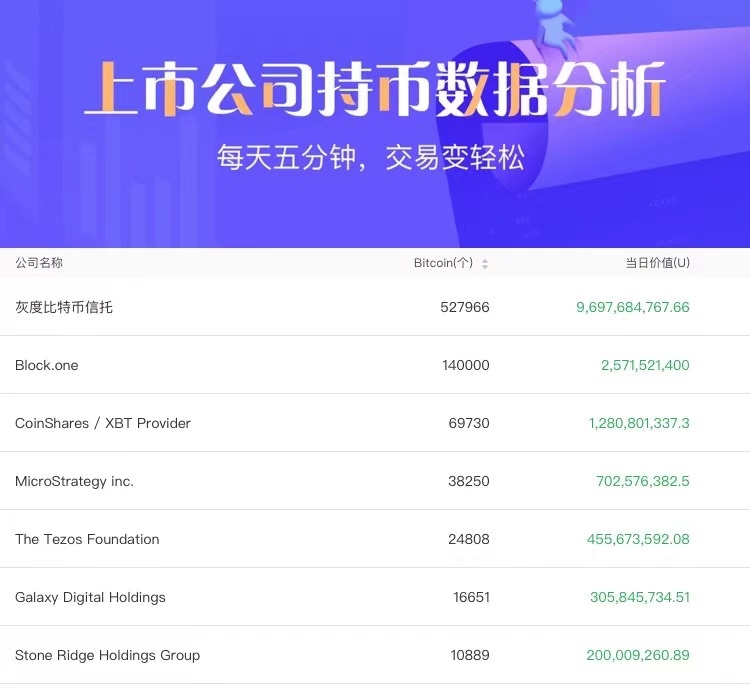 比特币暴涨，全球持币最多的公司都在用什么域名?