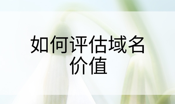 如何评估一个域名的价值?记住7个关键点