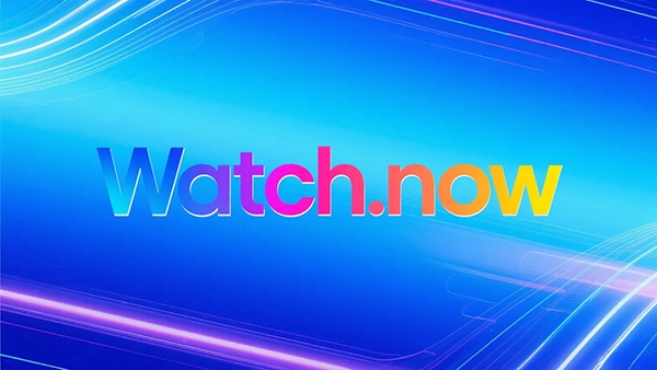 Watch.now以79,988 美元成交，刷新.now后缀记录