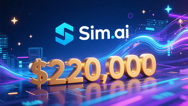 解释 Sim 和 Simulation 的含义.jpg