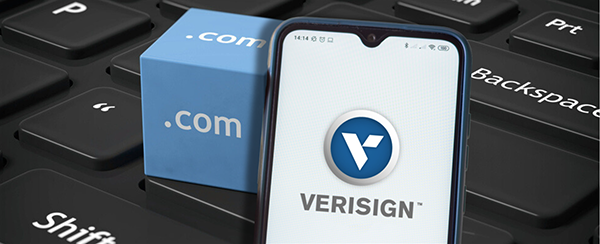 Verisign客户持续流失，.norton和.capitalone域名转投GoDaddy