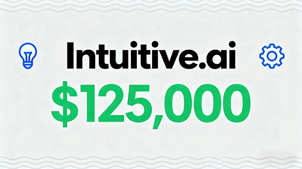 Intuitive.ai以125,000美元成交，跻身年度.AI域名Top20