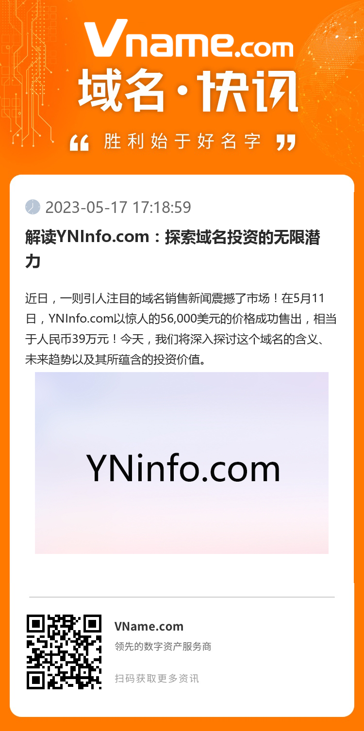 解读YNInfo.com：探索域名投资的无限潜力