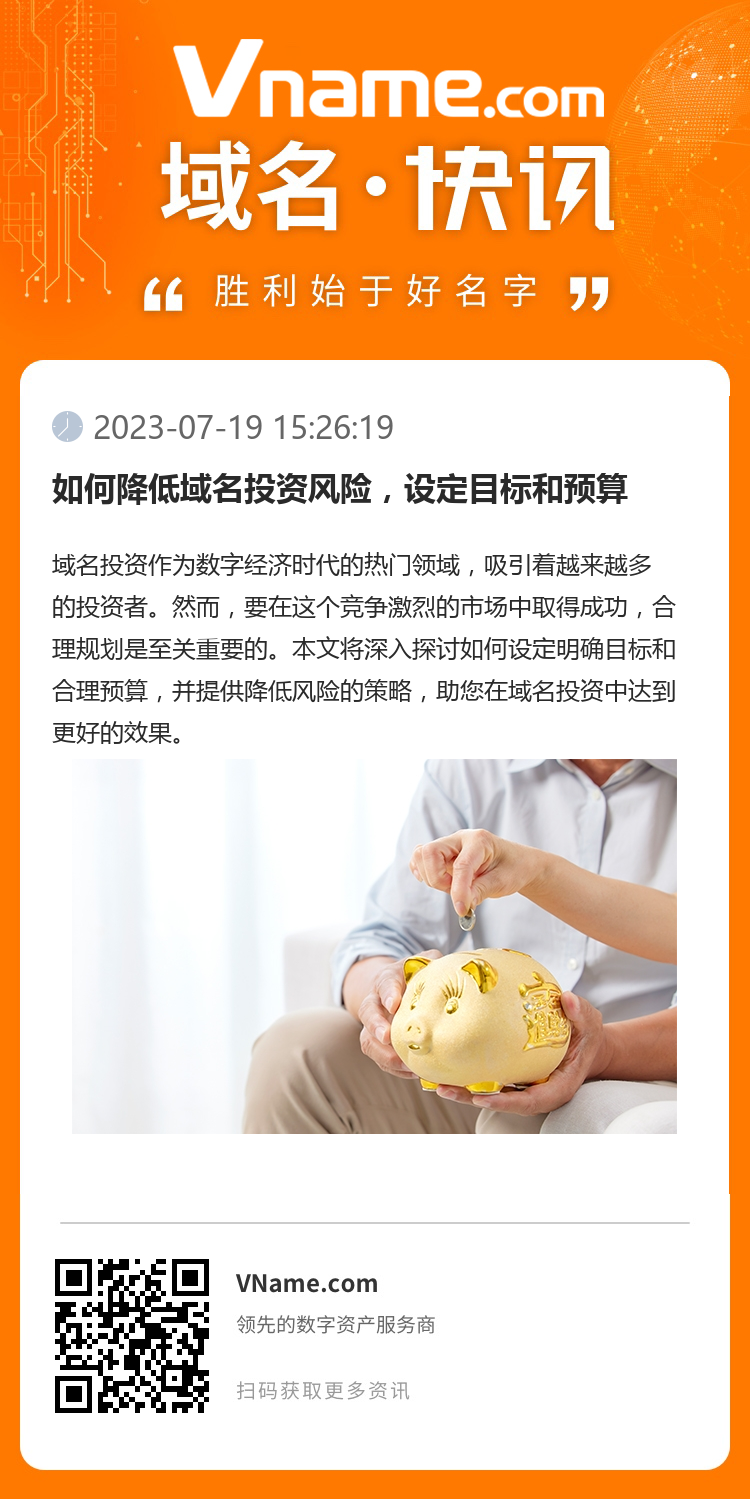 如何降低域名投资风险，设定目标和预算